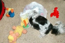 Bath...toys Katie