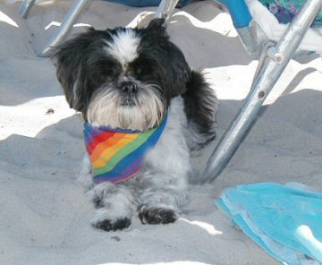 Beach chair Katie