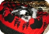 Bed...in love with