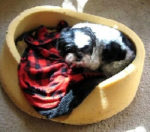 Bed...not made
