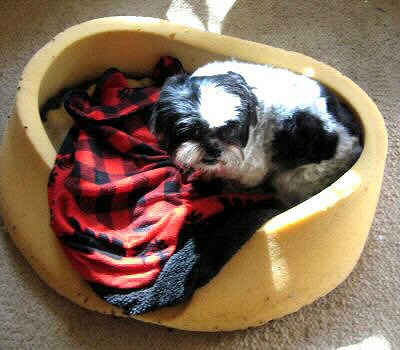 Bed...not made