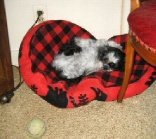 Bed and Katie behind chair two