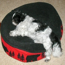 Bed comfortable????