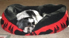 Bed comfy again