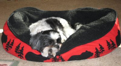 Bed comfy again
