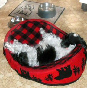 Bed kitchen