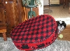 Bed on back...