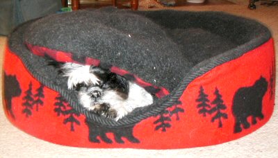 Bed hiding