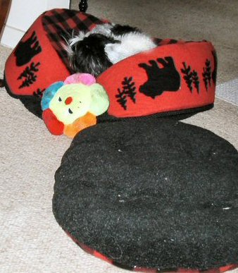 Goofy sleeping