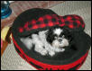 Bed pop up....