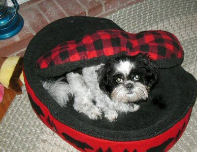 Bed pop up....