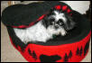 Bed peek a boo