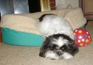 Bed head hanging out