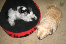 Benji & Katie visit