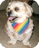 Benji smile