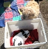 Benji & Bunny