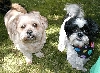 Benji and Katie