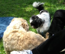 Benjie & Katie...heart to heart talk