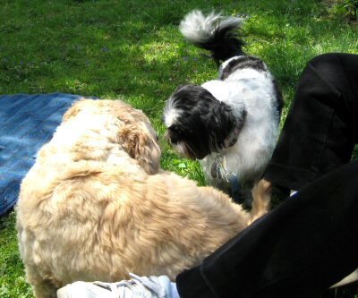 Benjie & Katie...heart to heart talk