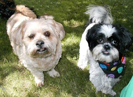 Benji and Katie