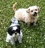 Benji and Katie FY