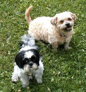 Benji and Katie FY