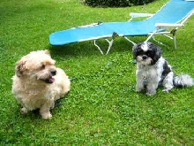 Benji & Katie 6/20