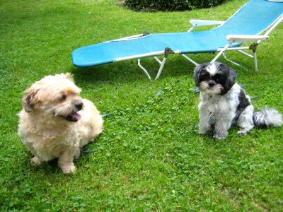 Benji & Katie 6/20
