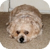 Benji door