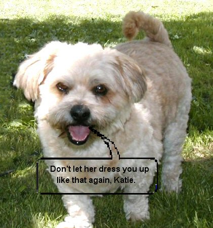 Benji to Katie