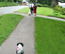 Walk...Benji, Katie, Carmella & Paul