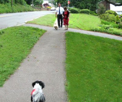 Walk...Benji, Katie, Carmella & Paul