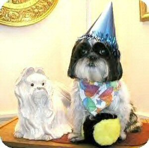 Birthday Katie