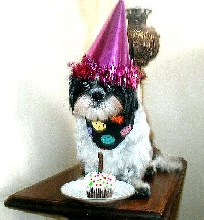 Birthday girl