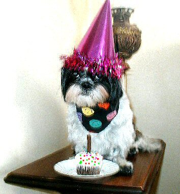 Birthday girl