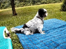 Blanket Katie....FY