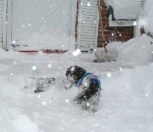 Blizzard sweater