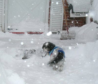 Blizzard sweater