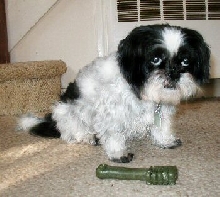 Greenie