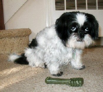 Greenie