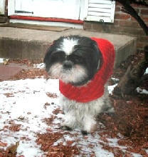 Brrrrrr...jacket