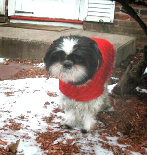 Brrrrrr...jacket