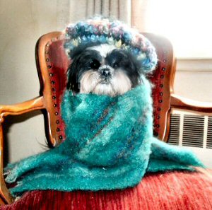 Brrrrrr...