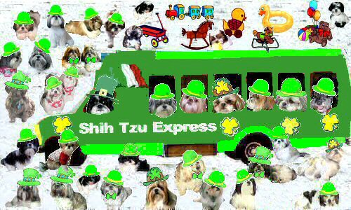 Bus St. Pat two