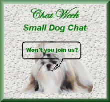 CW SDC anim
