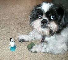 Cereal toy...not impressed