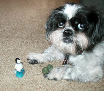 Cereal toy...not impressed