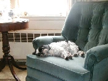 Chair...comfy