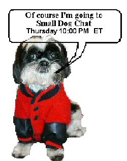 Chat Katie jacket