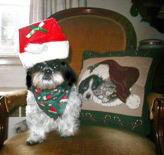 Christmas 06...Katie